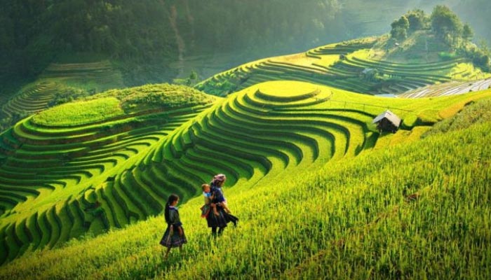 Sapa, é uma cidade fronteiriça e capital do distrito de Sa Pa, na província de Lào Cai, no noroeste do Vietnã