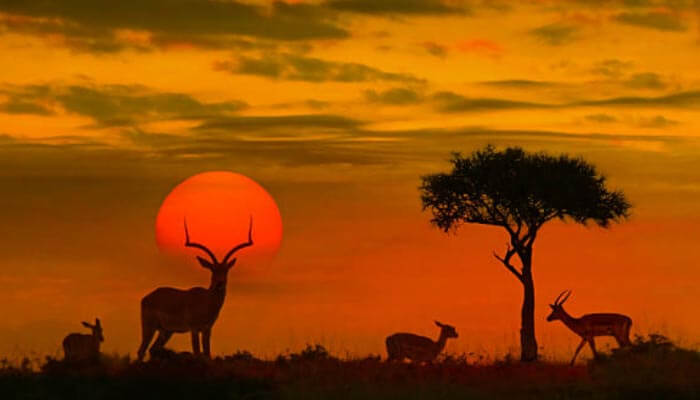 África, Quando ir, onde ficar e quais melhores Pontos Turísticos