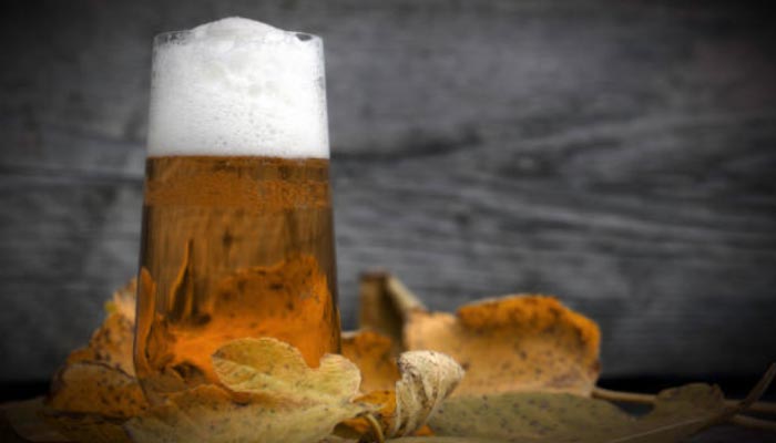 Cerveja-Holandesa