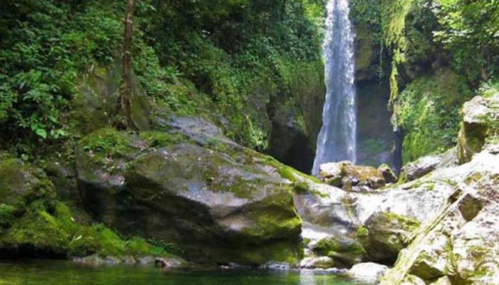 Pico-Bonito-National-Park