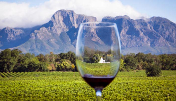 Os-vinhedos-de-Cape-Town