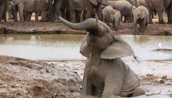 África do Sul Pontos Turísticos, onde ir e dicas para Visitar este Fantástico País