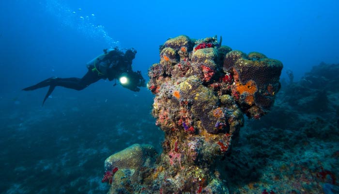 Mergulho em Abrolhos
