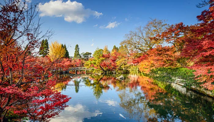 Pontos Turísticos do Japão, curiosidades, onde ir e o que fazer!