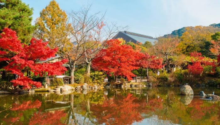 Maruyama-Park