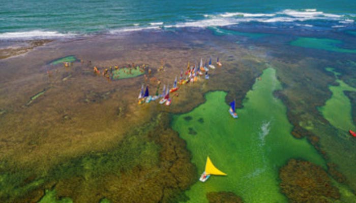Porto de Galinhas, o que fazer, onde ir e muitas dicas