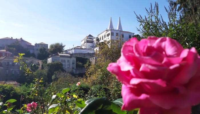 Sintra Portugal o que Fazer e visitar, Melhor Ponto Turístico de Portugal