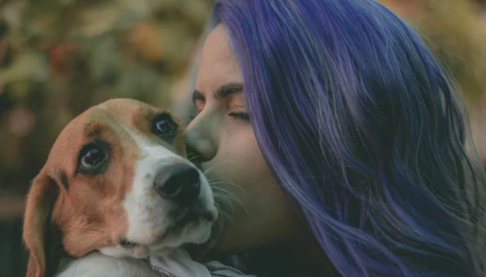 Trusted House Sitters como funciona?