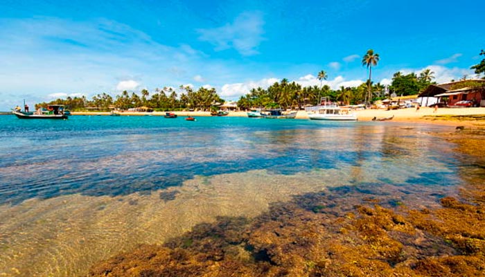 Praia do Forte e Guarajuba