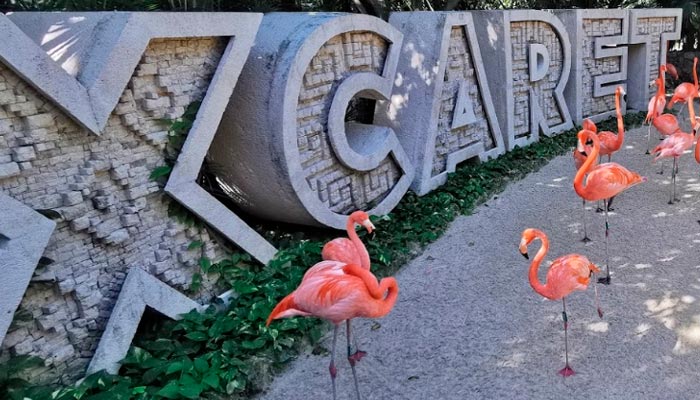 Parque aquático em Cancún, uma grande aventura num Lugar Mágico