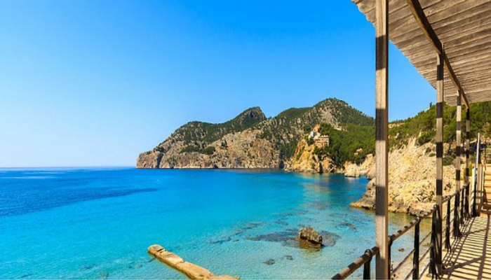 Como-se-tornar-um-House-Sitting-profissional