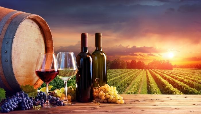Qual a melhor região de vinhos em Portugal