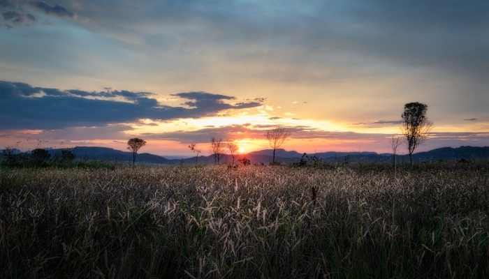 Cidades incluidas no caminho de Cora Coralina