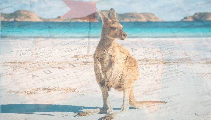 O que vale a pena comprar na Austrália