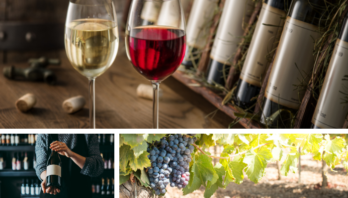 Roteiro de Vinhos em Bordéus