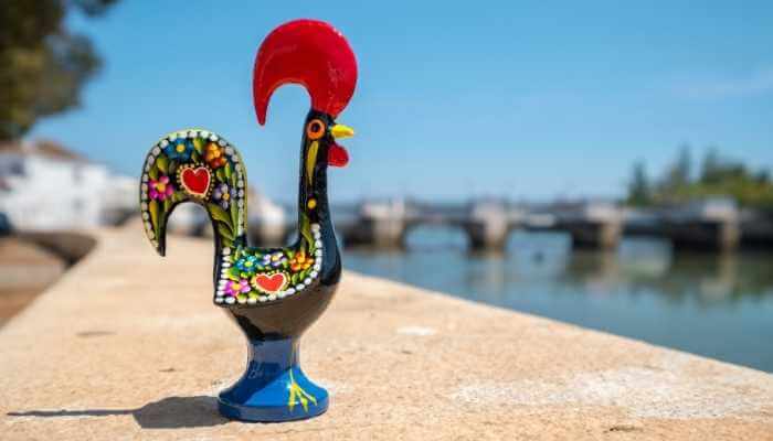 diferenças culturais entre Brasil e Portugal