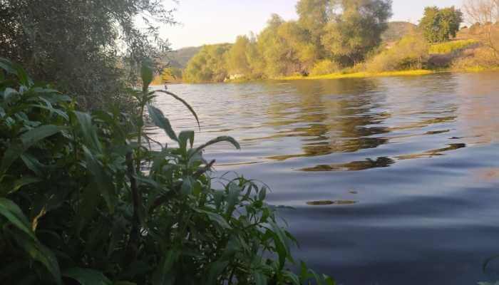 rio nabao