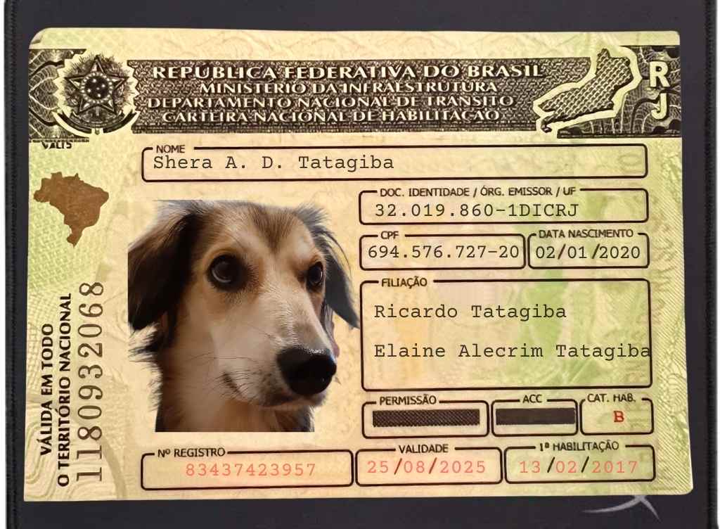 Shera doc