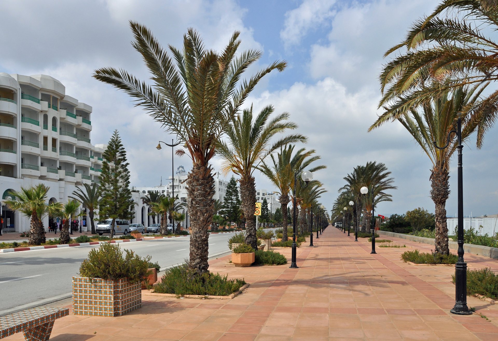 Calçadão de palmeiras à beira-mar em Yasmine Hammamet