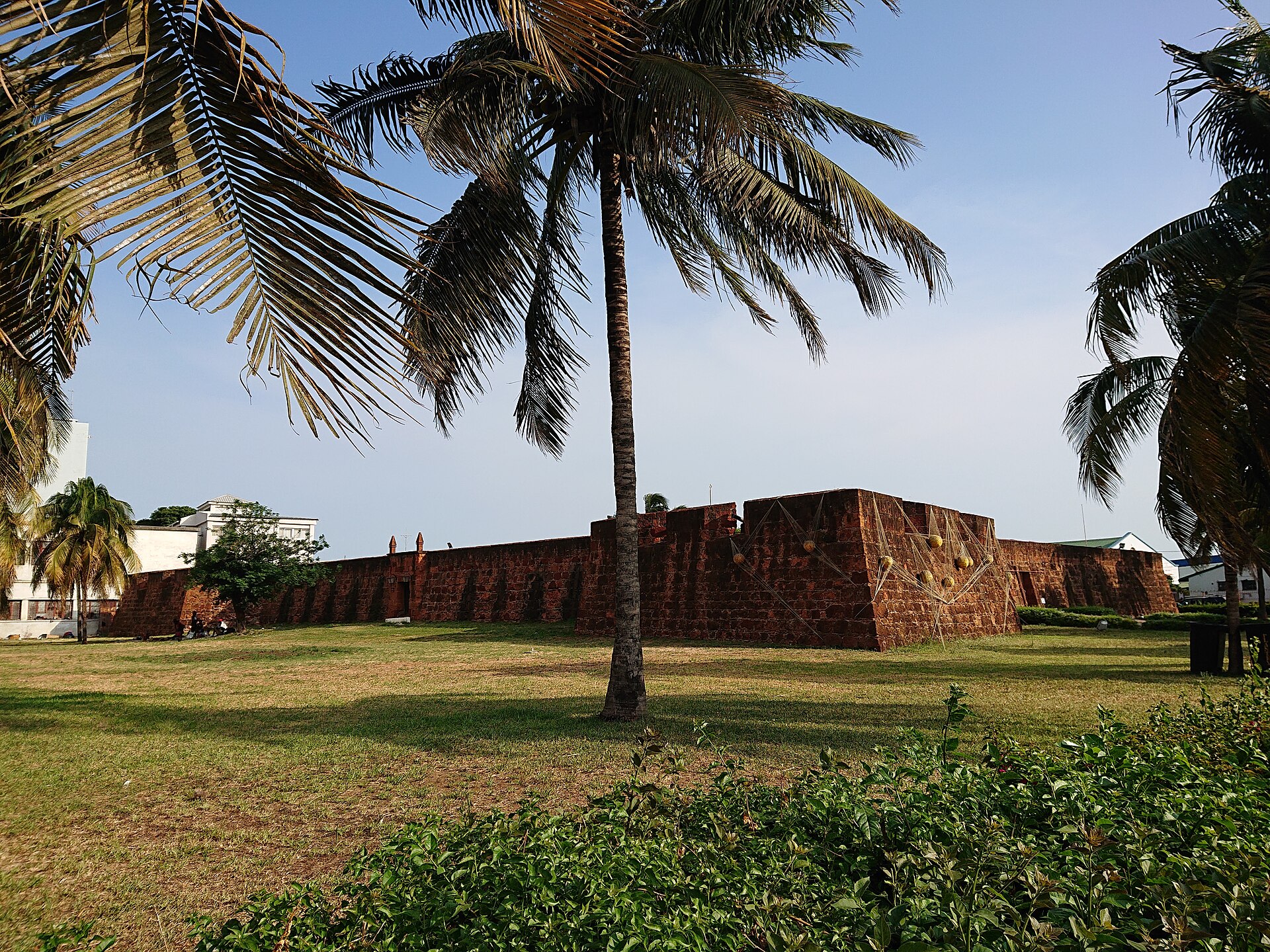 Muralha baixa de pedra avermelhada da Fortaleza de Maputo atrás de um gramado, com um coqueiro alto em primeiro plano sob céu azul