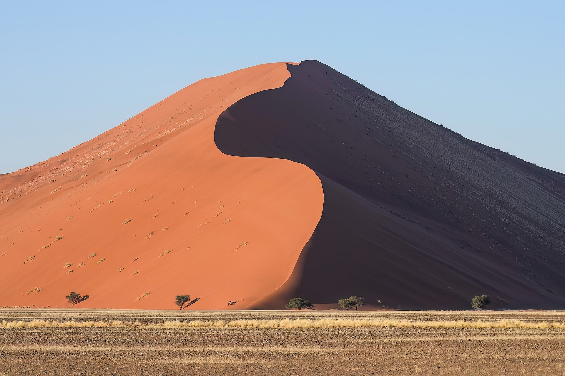 Duna vermelha de cume pontudo, com a face iluminada em laranja e a outra em sombra escura, separadas por uma crista em S, sobre planície seca com algumas árvores e céu azul