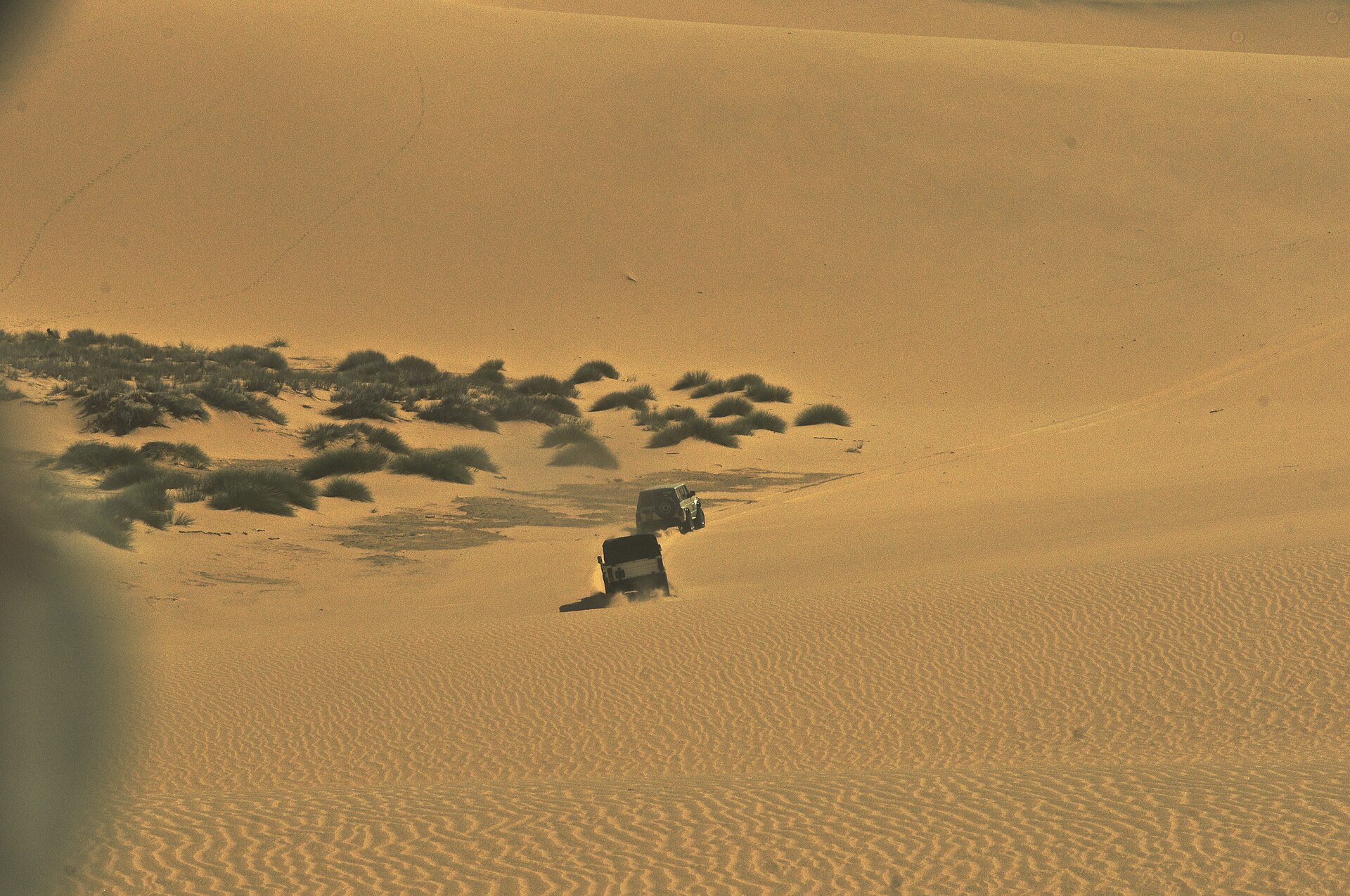 Dois jipes 4x4 descendo uma duna de areia dourada, com tufos de capim escuro à esquerda