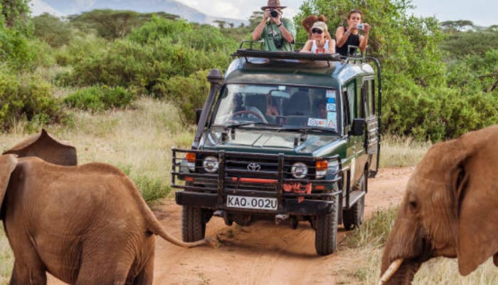 Safari no Zimbabue