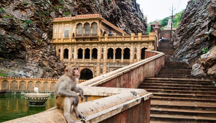 Monkey-Temple