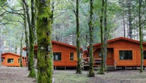 Acampamento-em-Penada-geres