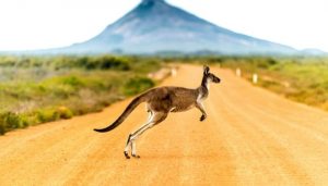 Austrália